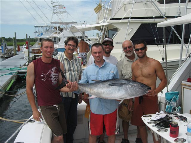 Maximum Gusto bluefin tuna