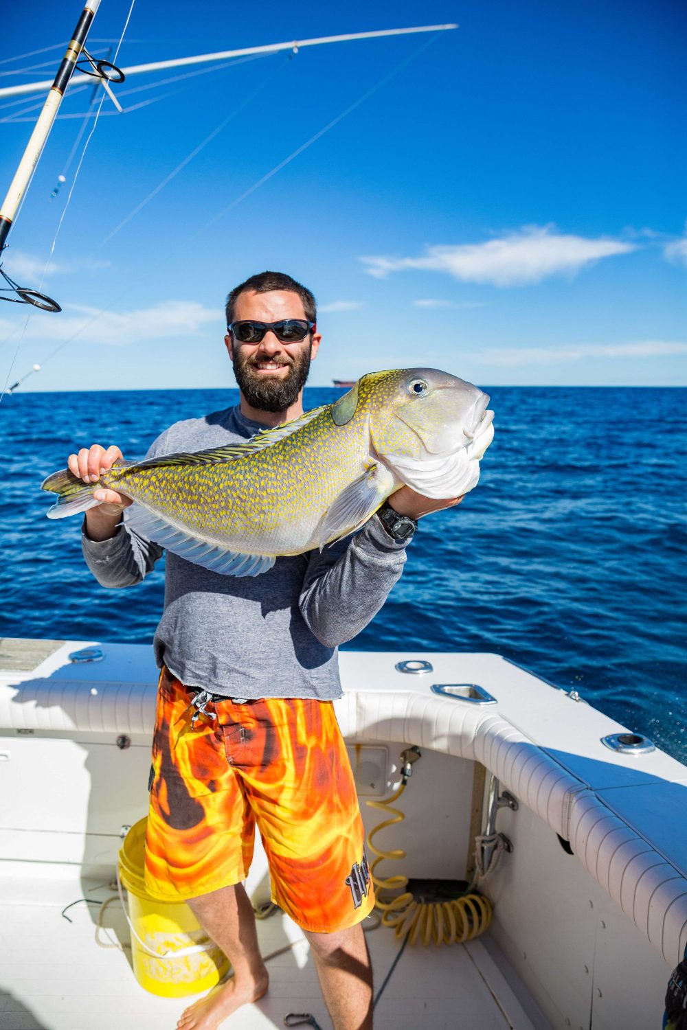 golden tilefish