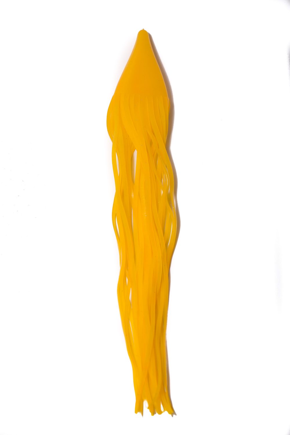 yellow shark squid