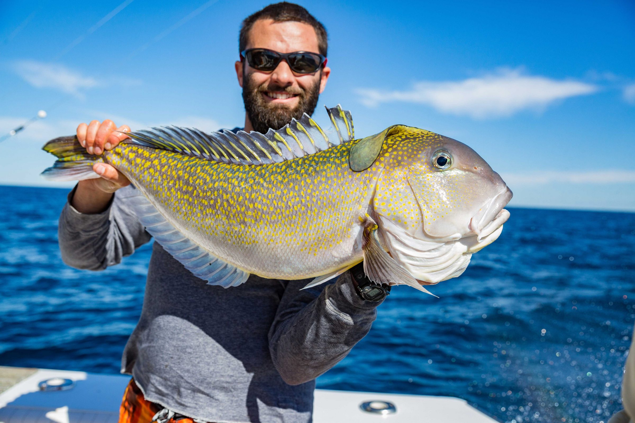 Golden Tilefish