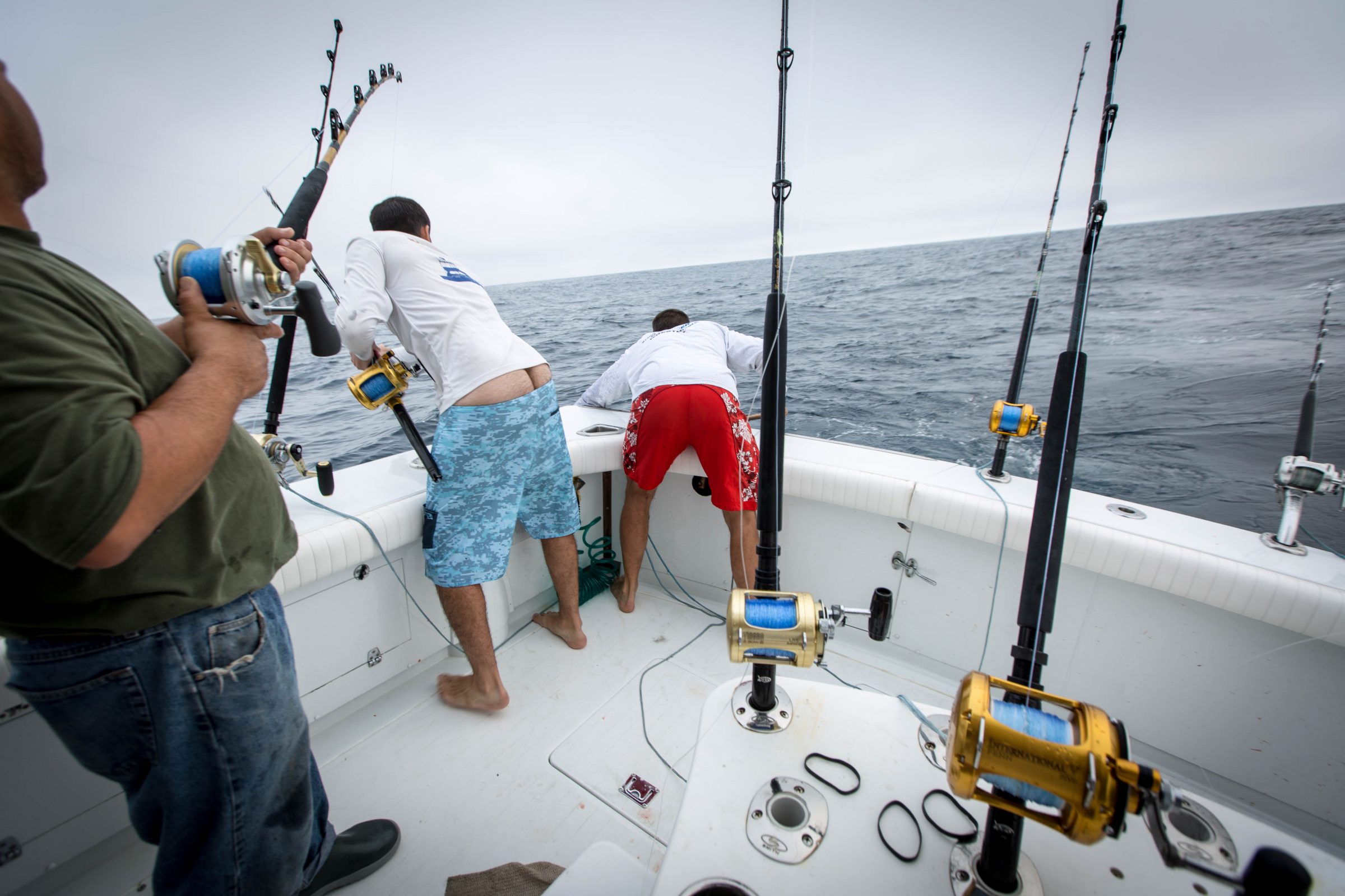 Maximum Gusto Sportfishing