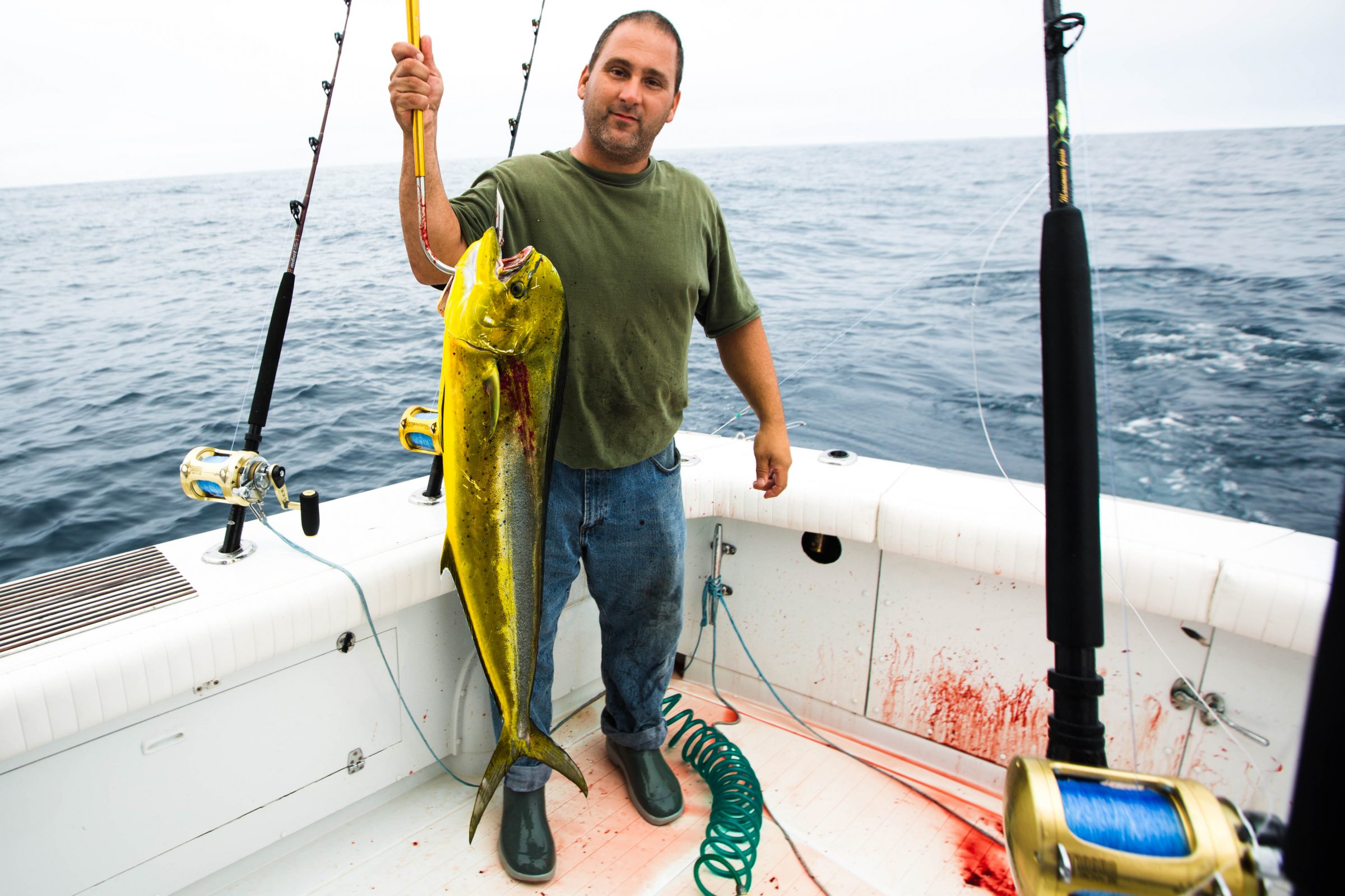 mahi gaff