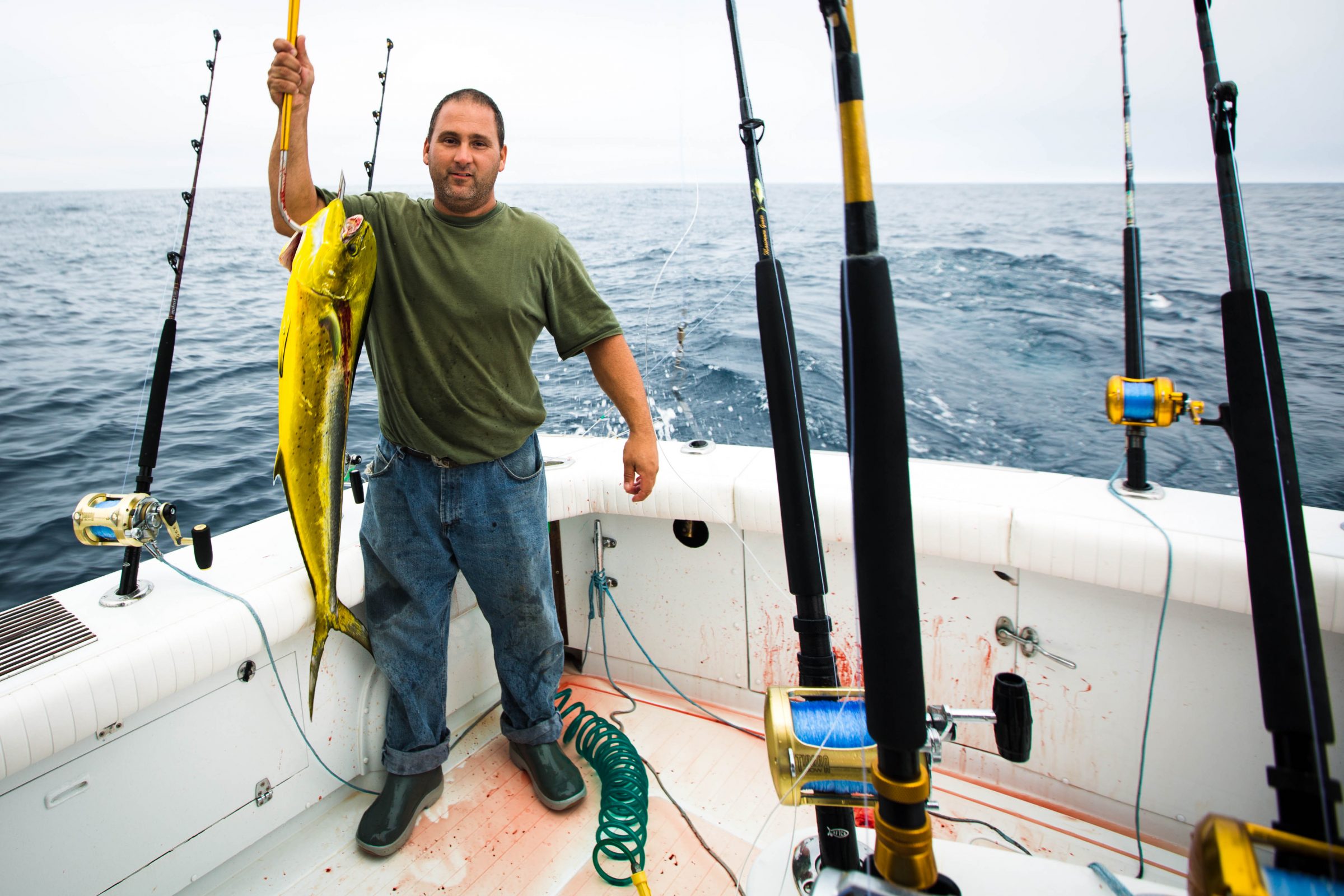 mahi gaff